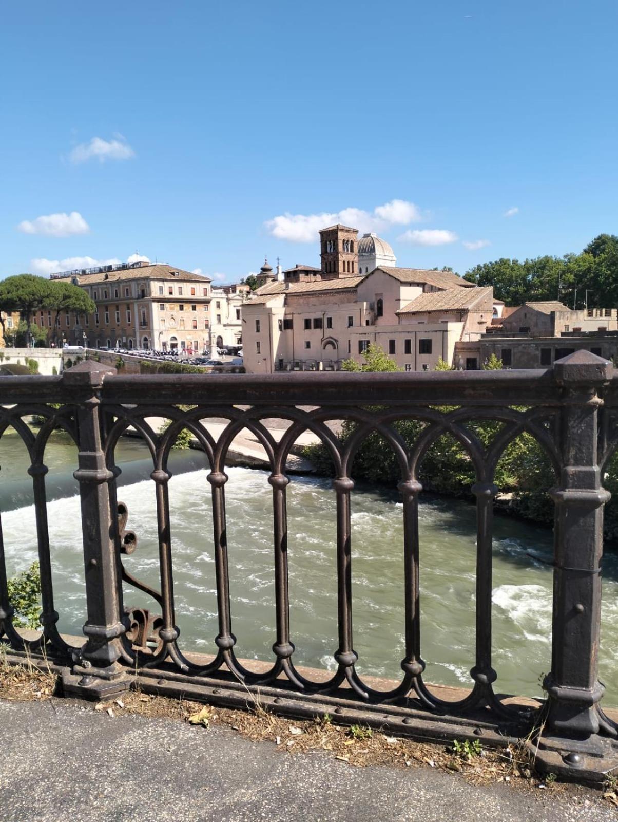 Attico Con Terrazza Santa Cecilia Apartment Rome Bagian luar foto